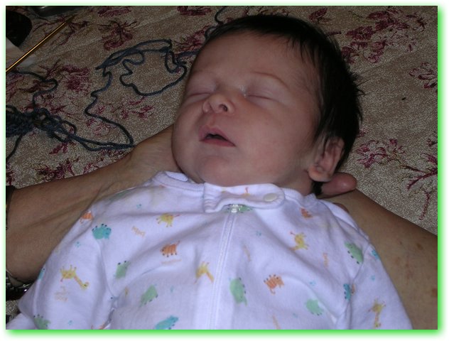 DSCN0644.JPG