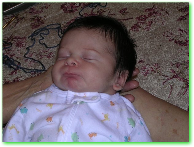 DSCN0645.JPG