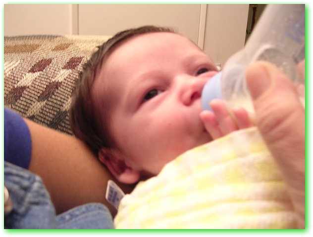 DSCN0661.JPG