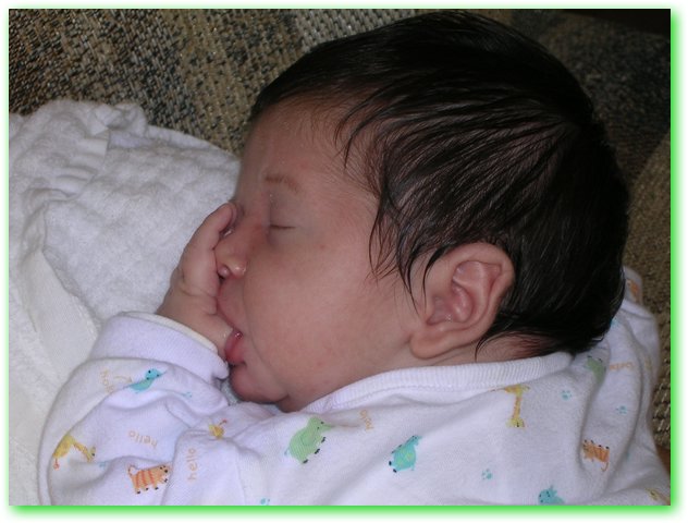 DSCN0671.JPG